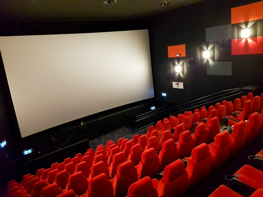 film festival audience