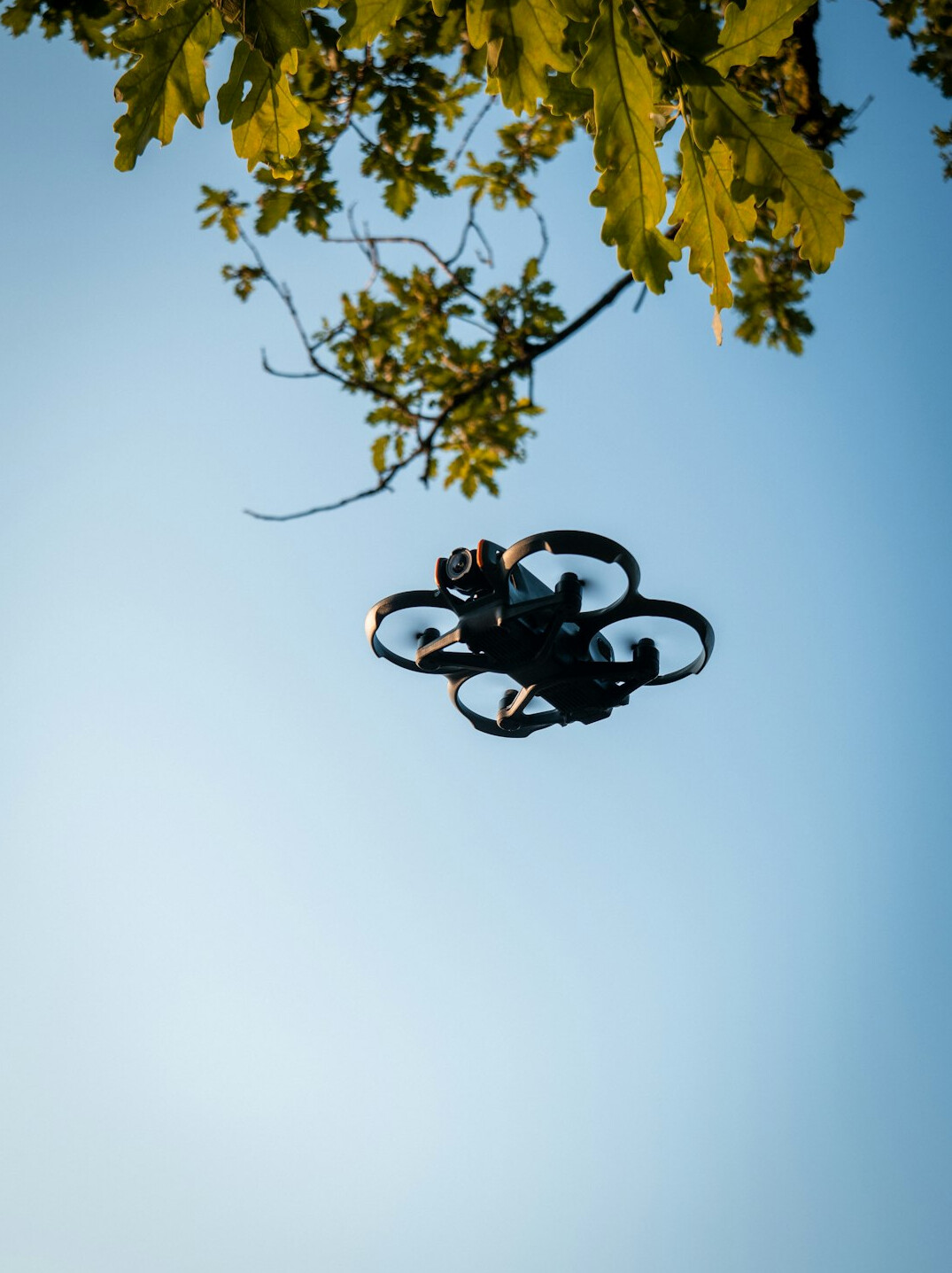 drone aerial shot